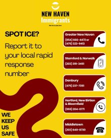 Flyer from the New Haven Immigrants Coalition showcasing different rapid response numbers. Information is also included in text below