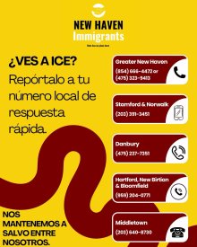 Flyer from the New Haven Immigrants Coalition showcasing different rapid response numbers. Information is also included in text below