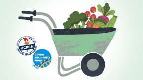 illustration of wheelbarrow full of produce